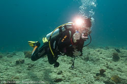 BD-150424-Maldives-8141-Homo-sapiens.-Linnaeus.-1758-[Diver].jpg